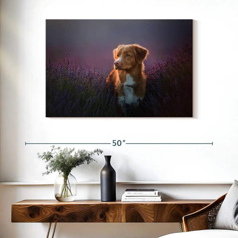 Golden Retriever In Lavender Field, 26" H x 39" W