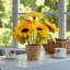 Arrangement floral tournesol en pot