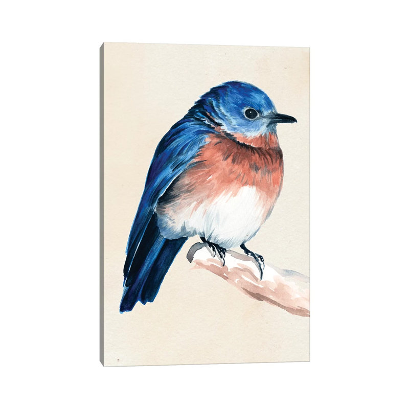 Little Bird On Branch I by Jennifer Paxton Parker - Wrapped Canvas Painting, 20.32 cm H x 30.48 cm W