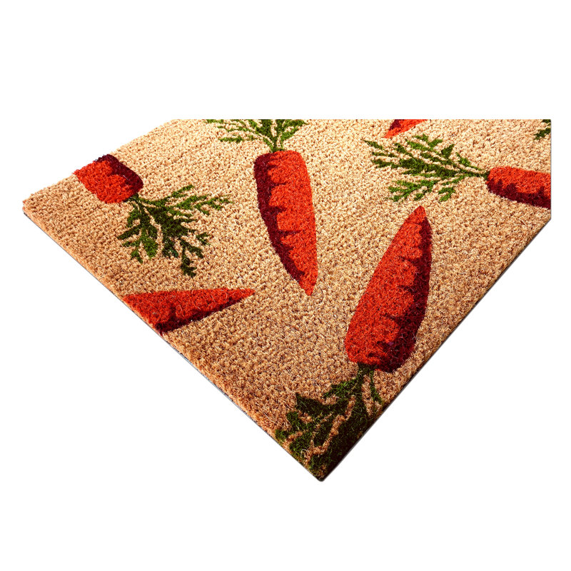 Danilyn Non-Slip Doormat, 24" W x 36" L