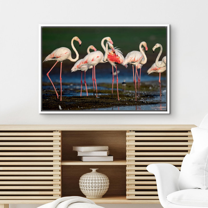 Flamants roses vibrantes, safari et jungle, H 16 po x l 24 po x P 1,5 po, Cadre blanc