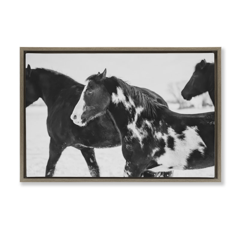 Cadre flottant noir Winter Horses, design par Amy Carroll, H 17 po x l 25 po, Cadre flottant orme Montalcino