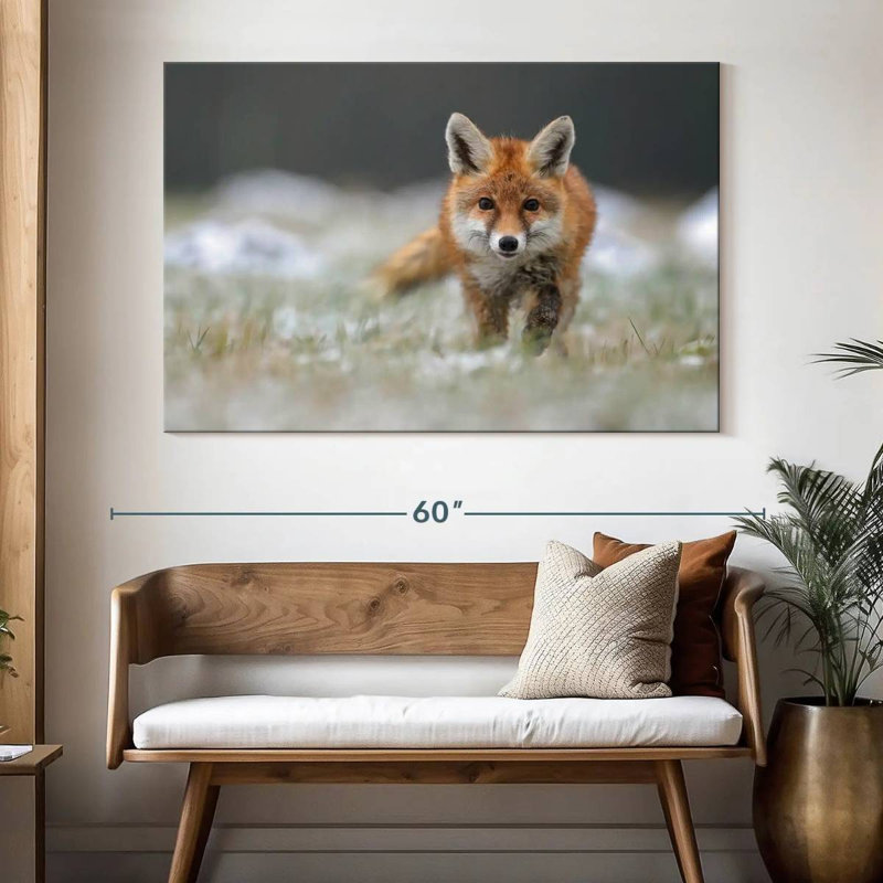 Brampt Baby Red Fox, 34" H x 51" W