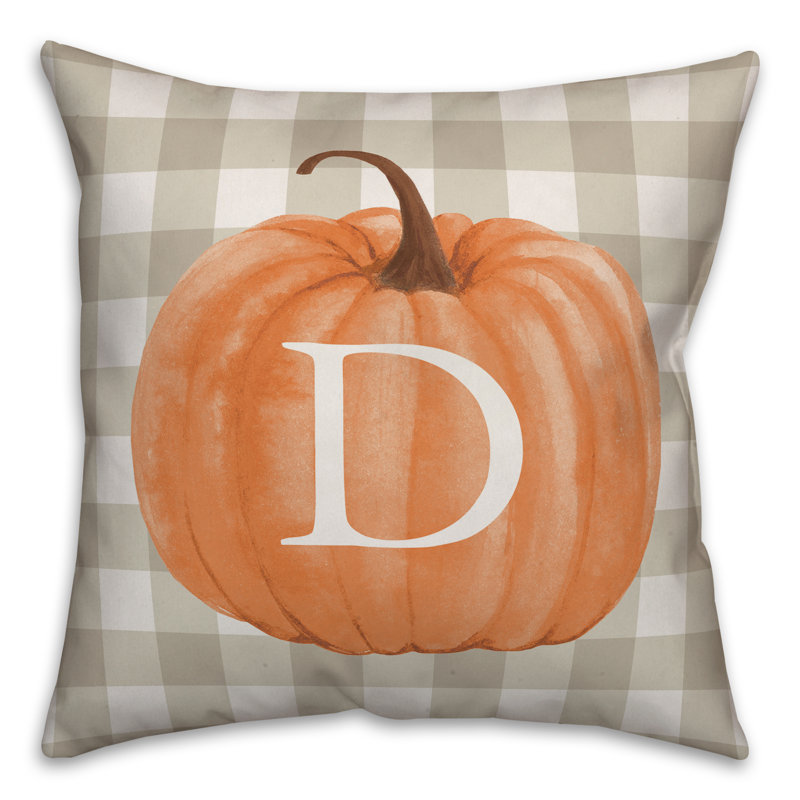 Throw Pillow, D