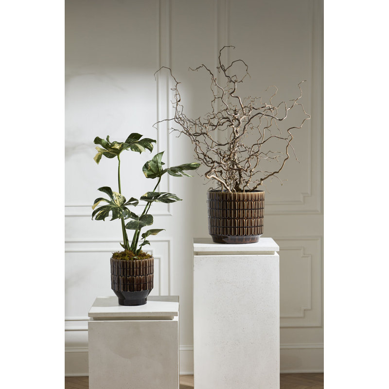 Pot Kasra 9,75 po x 11 po