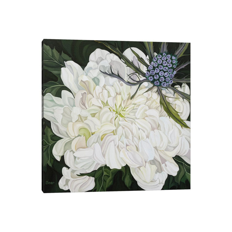 Chrysanthemum With Christmas Thistle by Jo Beer - Wrapped Canvas Print, 66.04 cm H x 66.04 cm W x 1.91 cm D