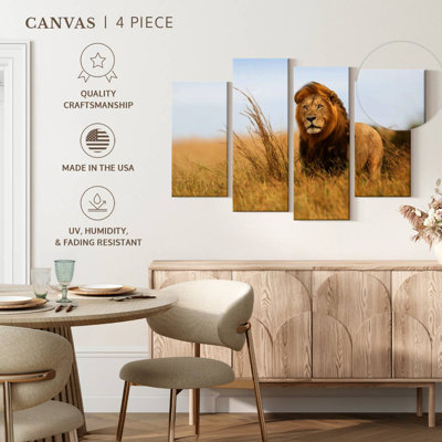 Lion safari Brampt