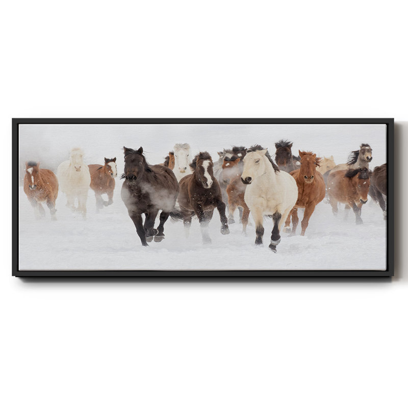 Pasture Run- Framed Canvas, 24" H x 60" W