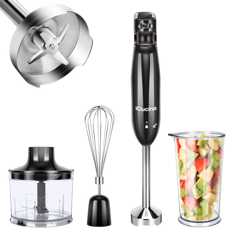 Solac Professional Stainless Steel Hand Blender with Accessory Kit