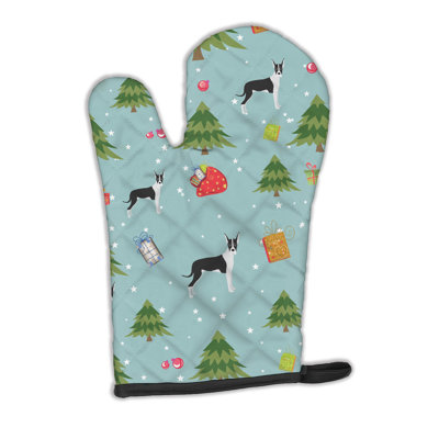 The Holiday Aisle® Silloth Polyester Oven Mitt