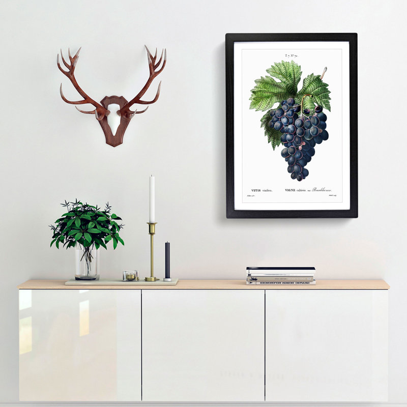Blue Grapes by Pierre-Joseph Redoute - Framed Print, 36cm H x 27cm W x 2cm D, Black Framed