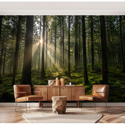 Papier peint adhésif à peler et coller Épinettes de forêt vertes moussues naturelles Papier autocollant amovible pour décoration murale de salon H 69 po x l 96 po