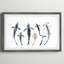 Saugatuck Shark Types II, reproduction encadrée-1751162815