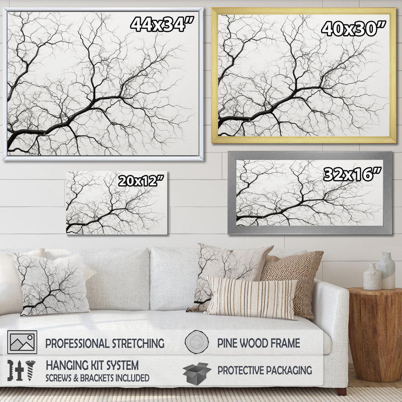 «Monocrhome Sycamore Tree Solitude», reproduction sur toile, Cadre flottant blanc, H 12 po x l 20 po x P 1 po