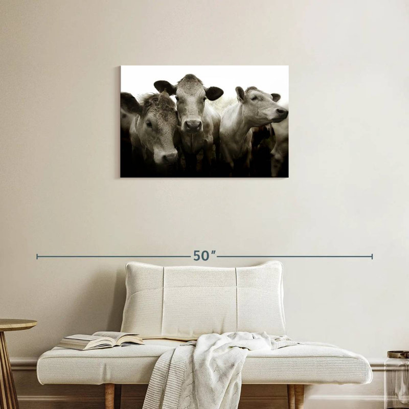 Brampt Three White Cows, 20" H x 30" W