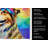 Collie Hippie Dawg Kitchen Towel