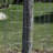 Metal Fencing-71216092-71430798