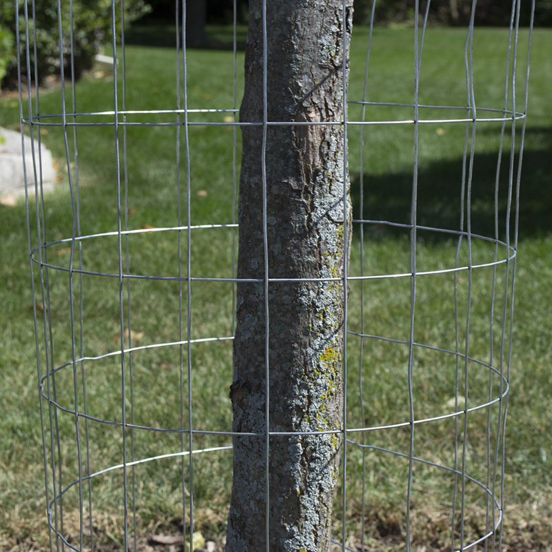 Silver 48-Inch x 50-Foot Galvanized Steel Wire Fence