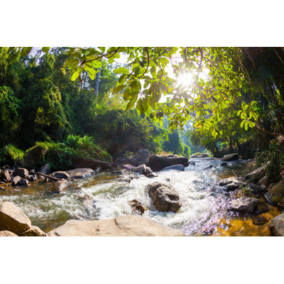 Stream In The Jungle by Zodebala - No Frame Art Prints on Canvas