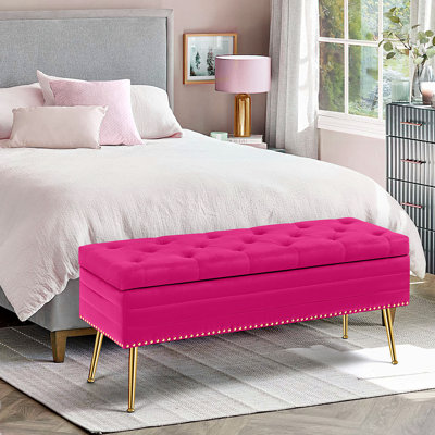 Banc de rangement en velours Carrielynn