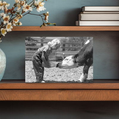 1950S Little Blonde Girl Feeding Calf A Bottle Of Milk Classic Retro Vintage Landscape Nature Wall Art