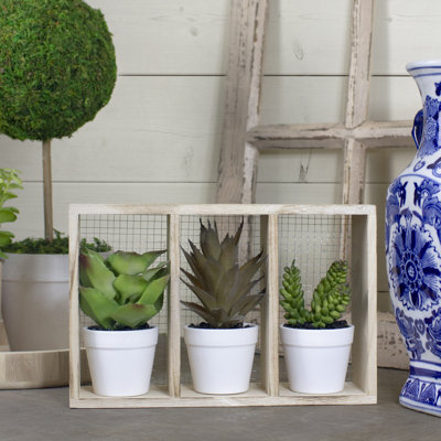 7'' Faux Succulent Plant Plant in Planter
