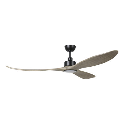 Zionne Ceiling Fan