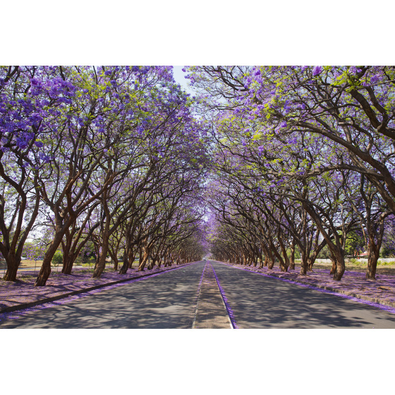 Purple Tunnel by Jez_bennett - Wrapped Canvas Print, 30cm H x 46cm W x 3.8cm D