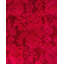 Overyed One-of-a-Kind Rectangle 4'2" X 6'1" Hand Knotted Area Rug
