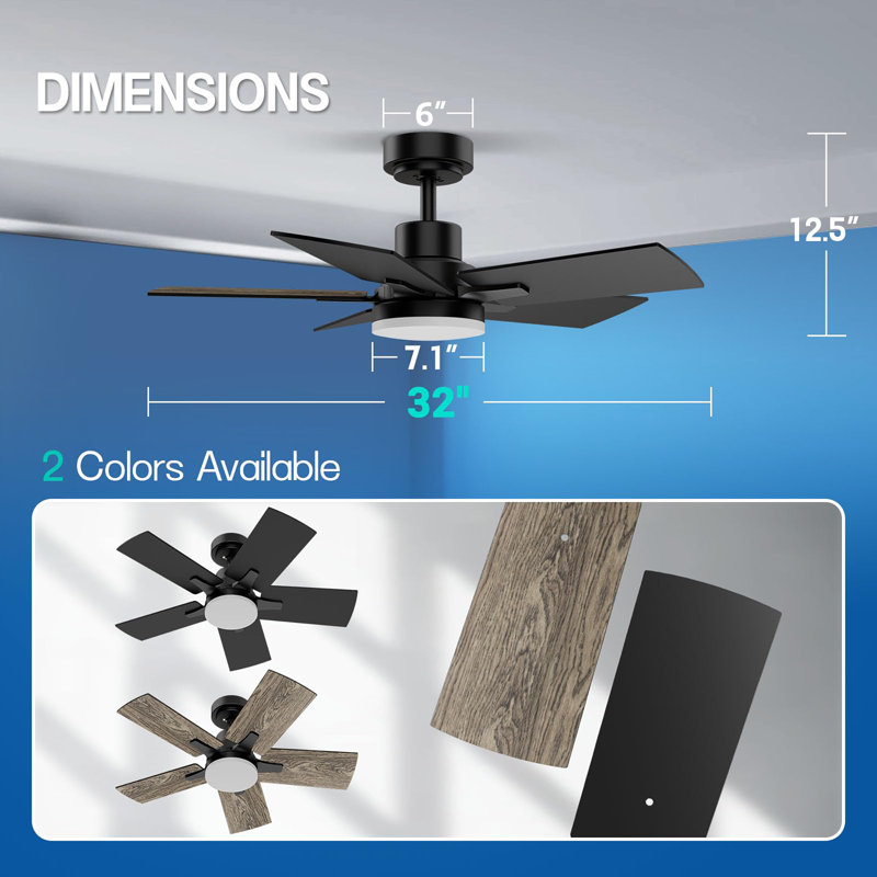 Ceiling Fans with Lights and Remote, 32" Wide, Black