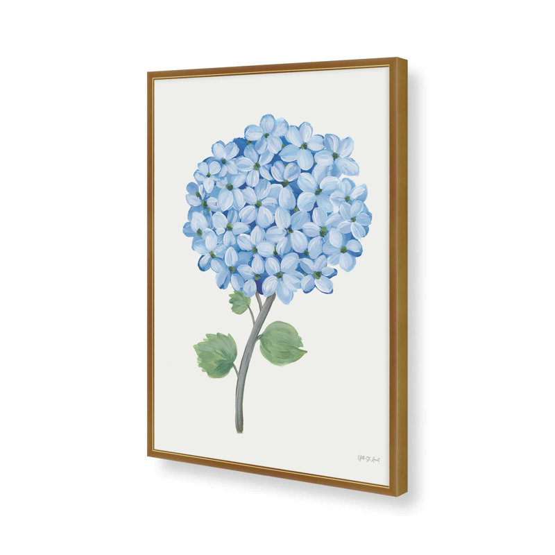 «Nantucket Blue Hydrangea I» par Yvette St. Amant, reproduction d'art sur toile, H 16 po x l 12 po, Or