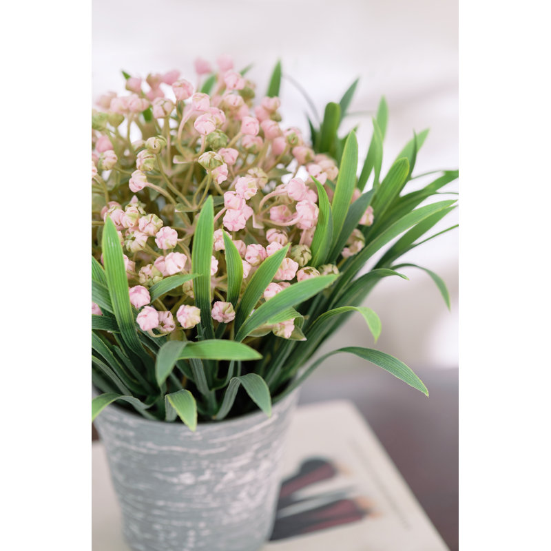 Étoile à bulles en fleur dans un pot, Rose/mauve, 2