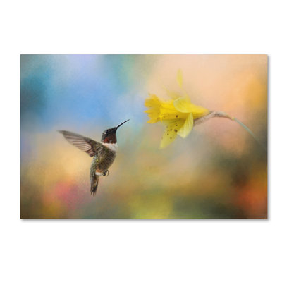 «Garden visiteur», impression sur toile tendue Vidur