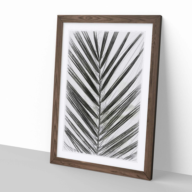 Plat Leaf in Abstract - Picture Frame Graphic Art Print, Walnut, 50cm H x 35cm W x 2cm D