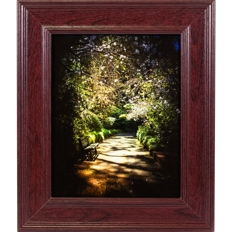 Cadre photo simple biseauté en acajou Vanourgen, 8 po x 10 po