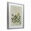 «Hidden Gems Botanicals», reproduction sous verre encadrée, design par Grace Popp