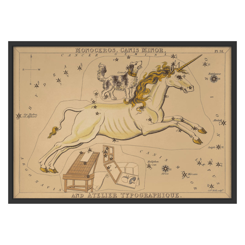 Monoceros Print by Grand Archives, 32" H x 45" W, Black Framed