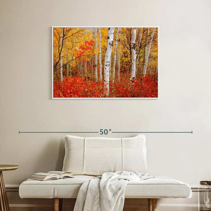 Bouleaux d'automne, Cadre flottant blanc, 37 po x 25 po