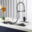 Blue Elephant Pull Down Kitchen Faucet-1325887825
