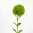 Vert clair
