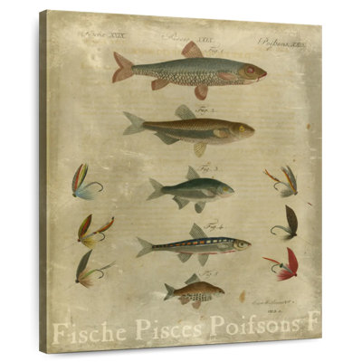 Poissons, composition I