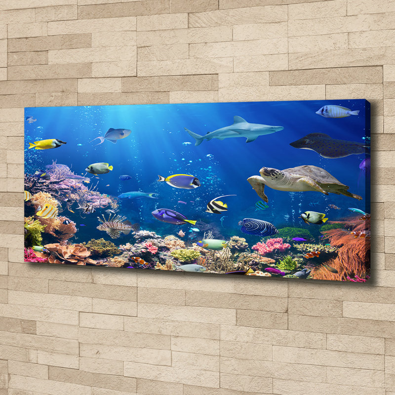 Coral Reef - No Frame Print on Canvas