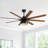 Bartling 52"/66" 8-Plywood-Blades Modern Ceiling Fan with Lighting Kit and Smart Remote-1507151457