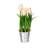 Polysilk Tulip Arrangement in Pot