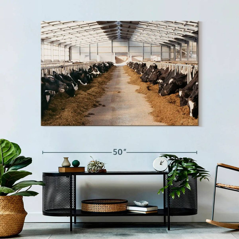 Barn Cows, 34" H x 51" W