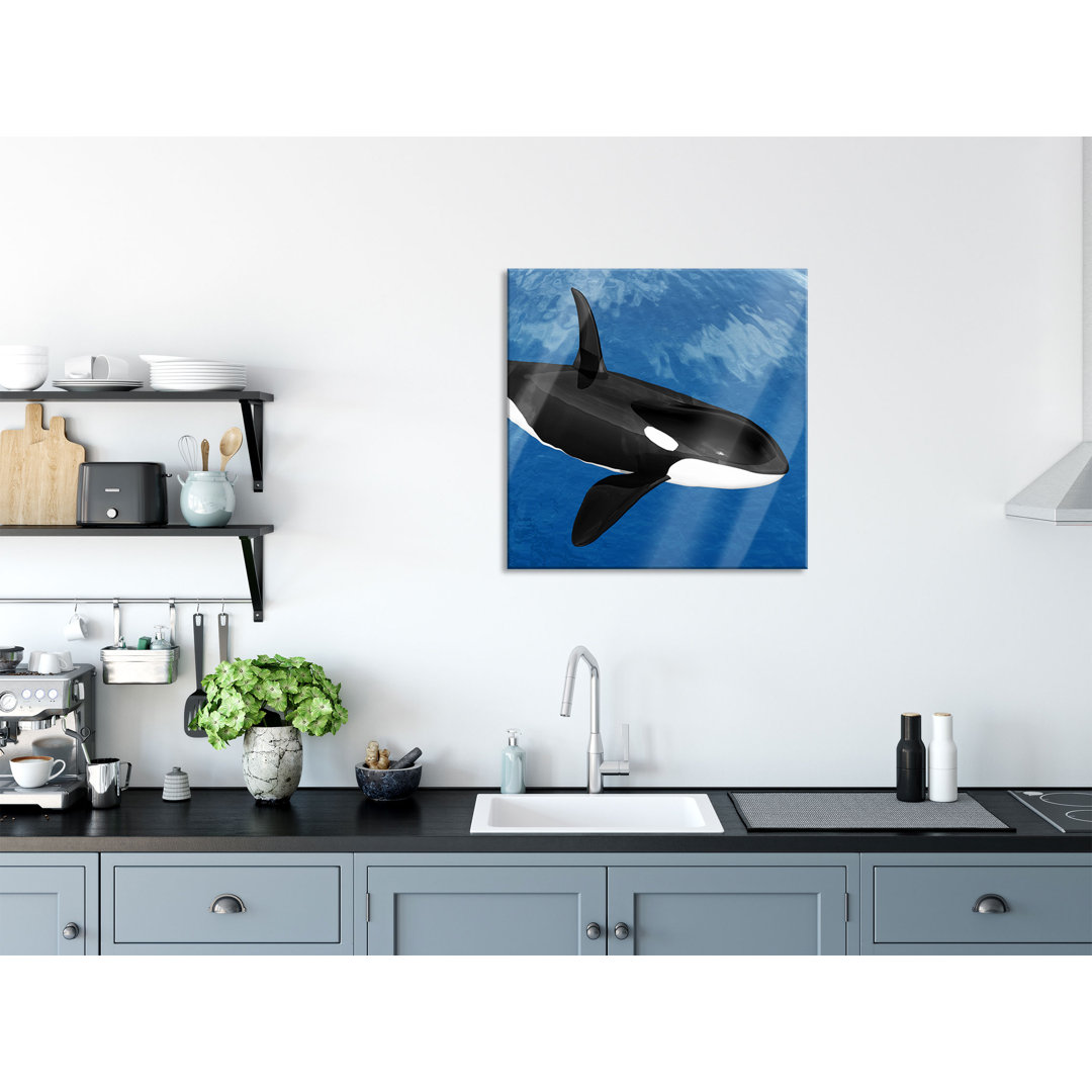 Glasbild Schöner Orca im Meer