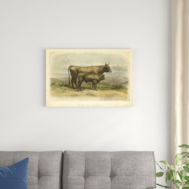 Vache De Salers, H 20 po x l 30 po x P 1,25 po