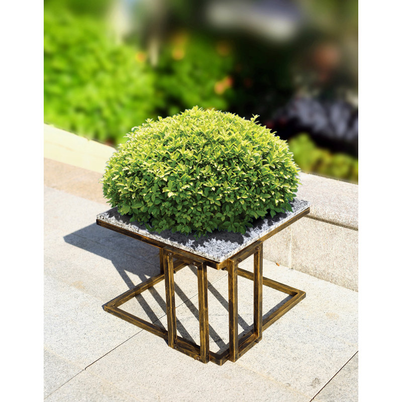 Support pour plante en marbre granit noir / doré 14,5 po