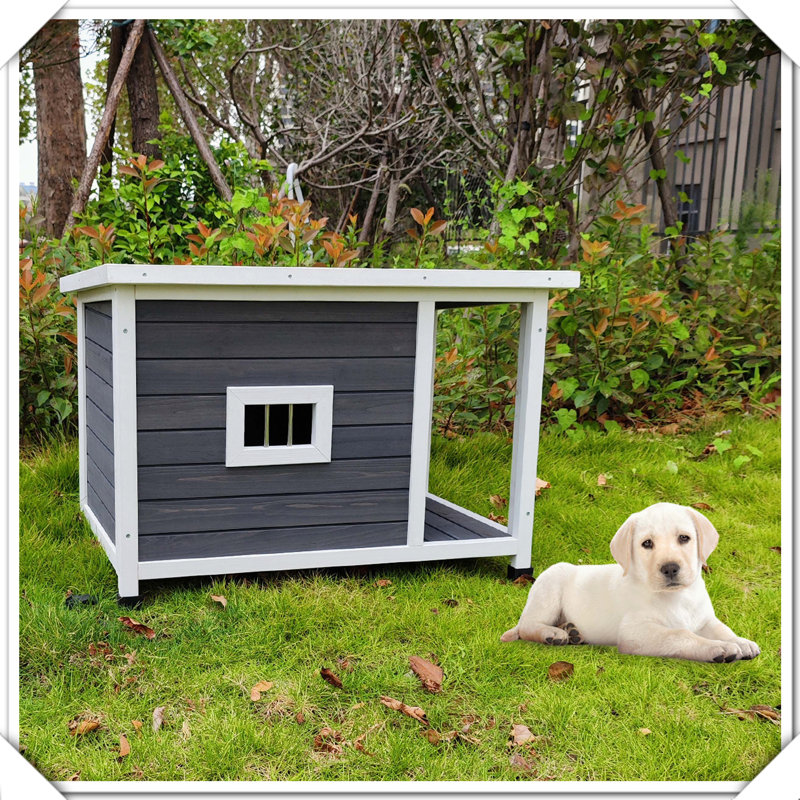 Niche pour chien d'extérieur en bois avec cage de porche