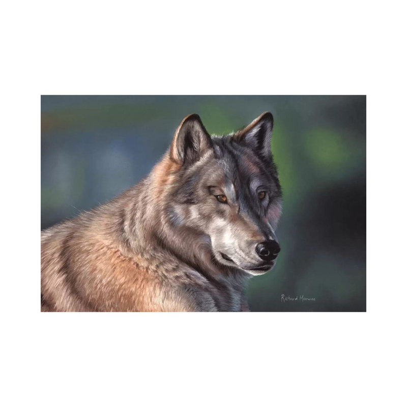 Tundra Wolf by Richard Macwee - Gallery-Wrapped Canvas Giclée on Canvas, 20.32 cm H x 30.48 cm W, Canvas